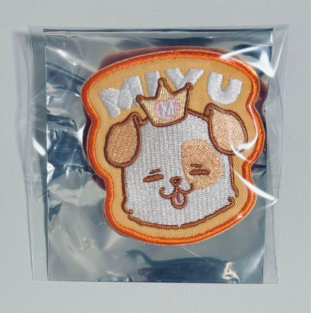 寵愛されし大司教 剣の乙女　SP PSA10 PSA10】ヴァイスシュヴァルツ SP 寵愛されし大司教 剣の乙女 PSA10 GBS